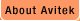 About Avitek
